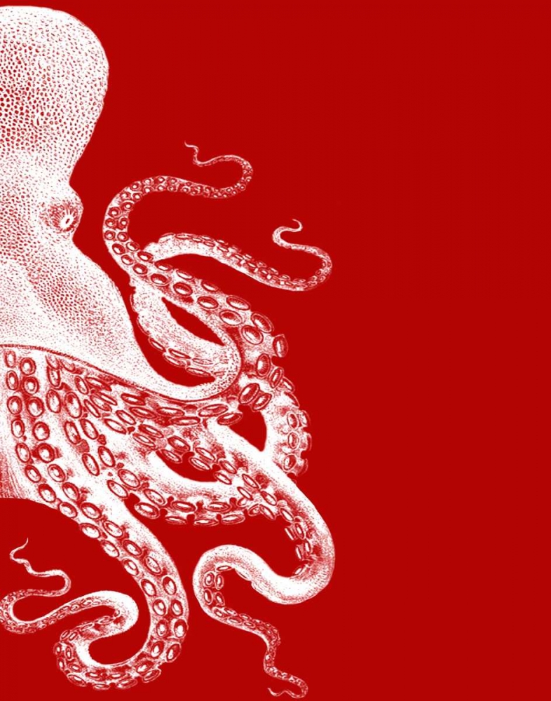 Octopus Red and White b