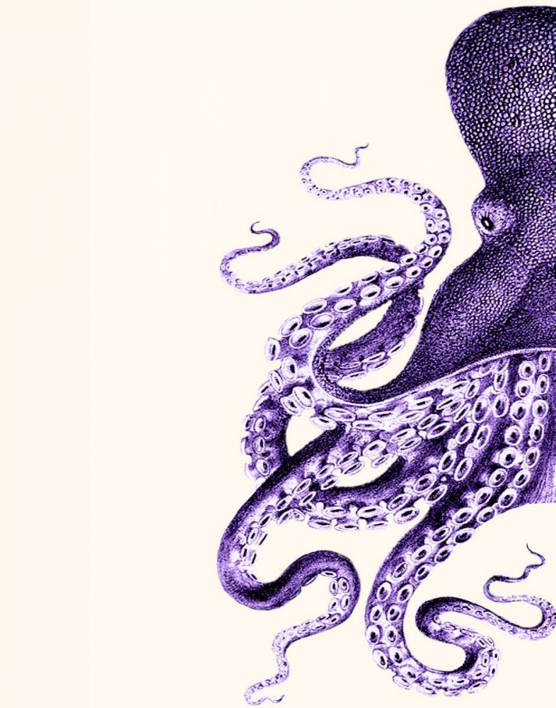 Octopus Purple and Cream a