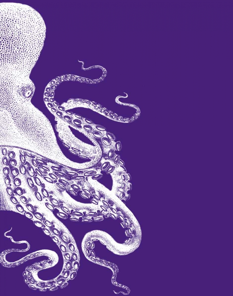Octopus Purple and Cream b