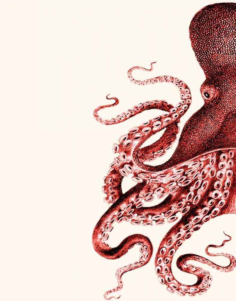 Octopus Coral and Cream a