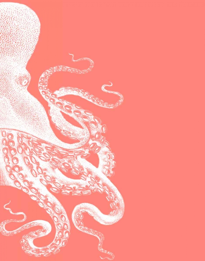 Octopus Coral and Cream b