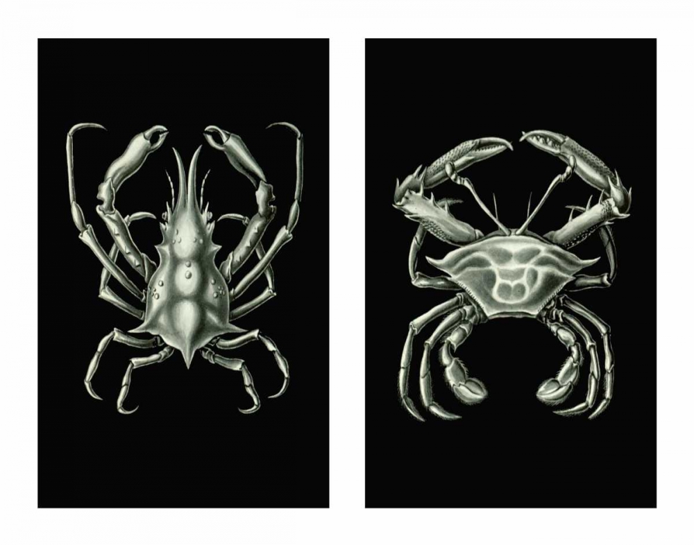 Crabs On Black in 2 panels