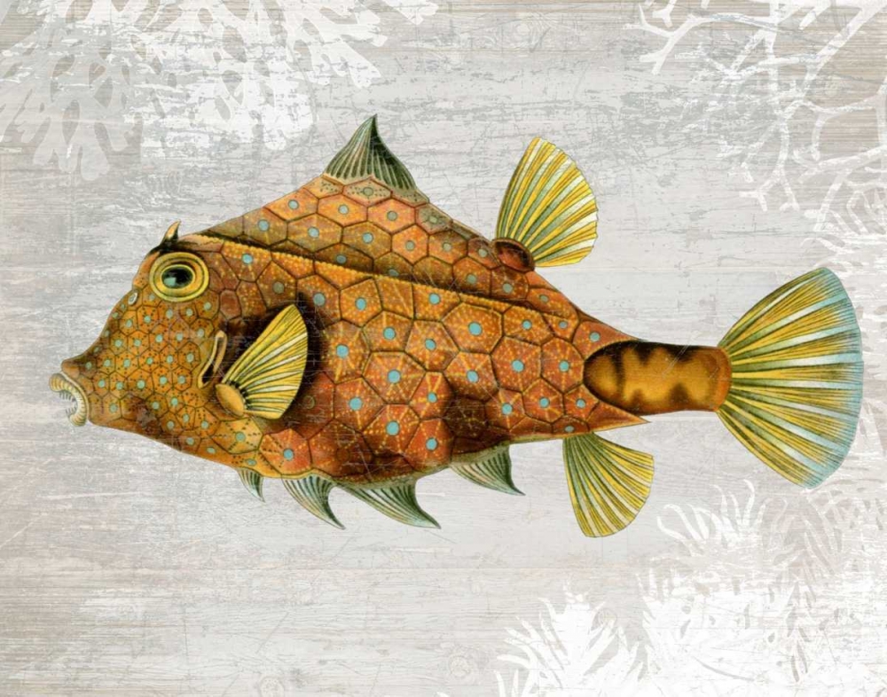 Gold Turret Fish