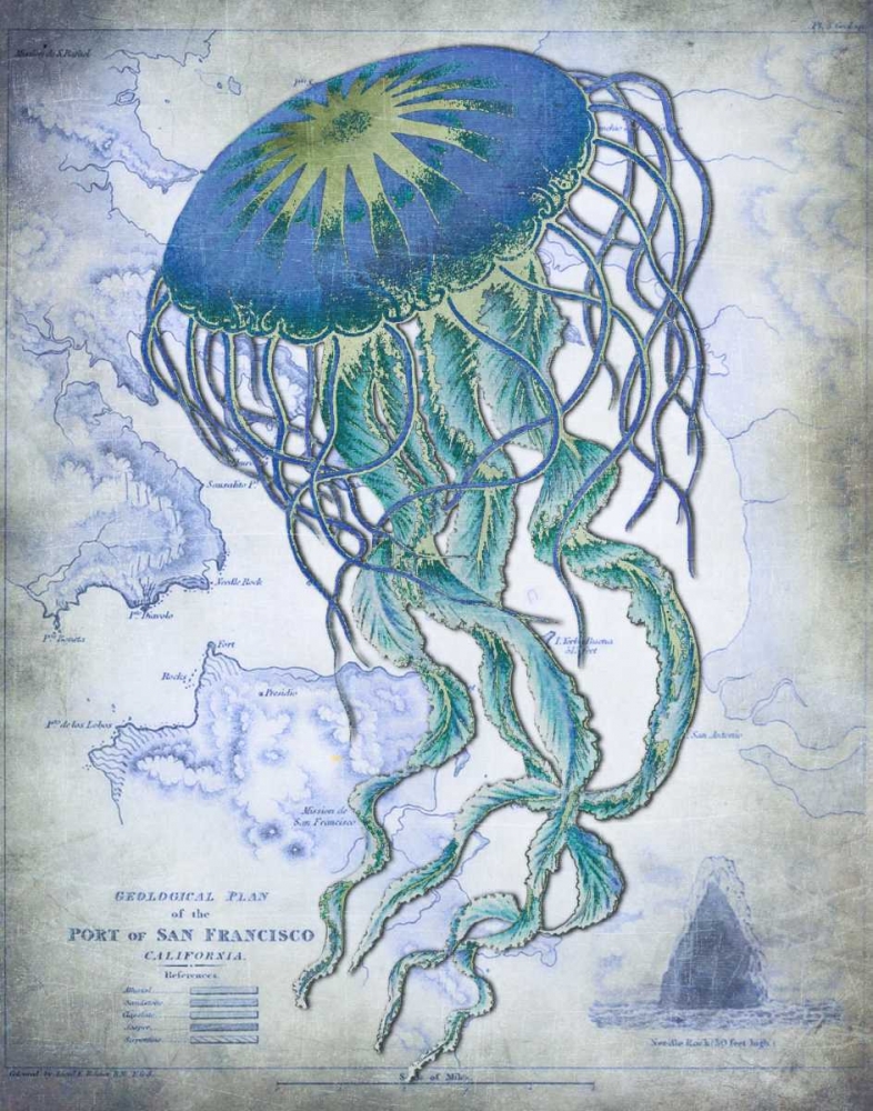 Jellyfish On image of Nautical Map