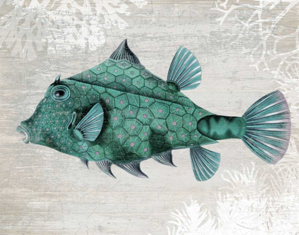 Turquoise Turret Fish
