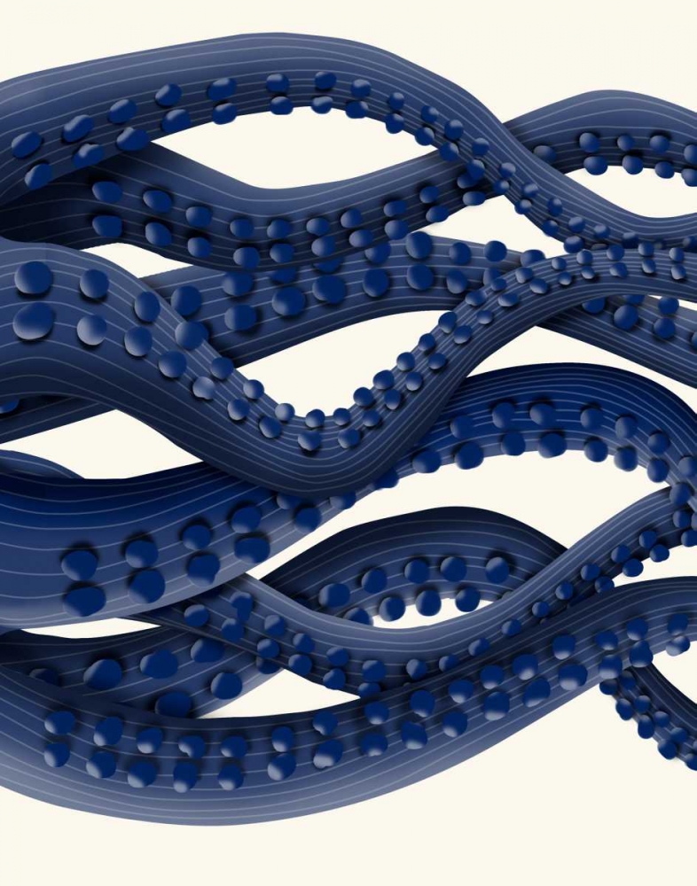 Giant Octopus Blue Triptych b