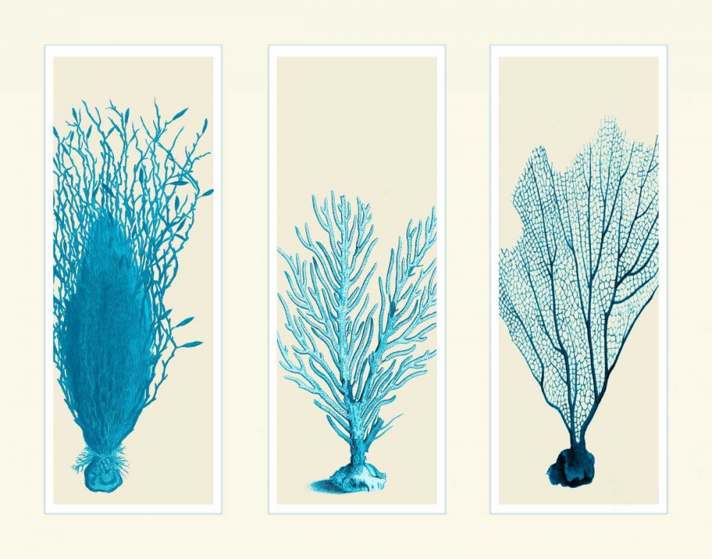 Blue Corals on 3 Panels