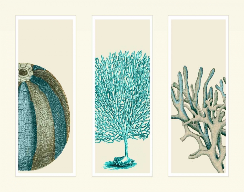 Blue Corals and Sea Urchins in 3 Panels