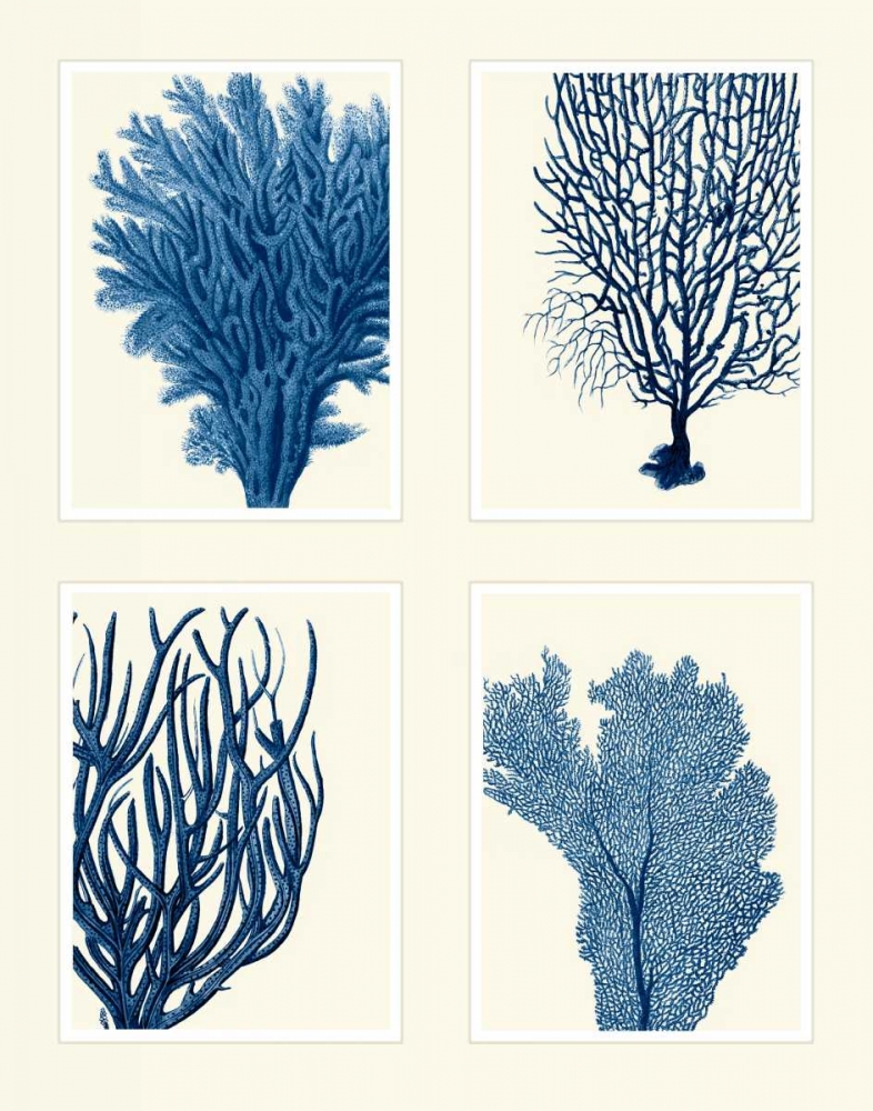 Blue Coral Print on 4 Panels