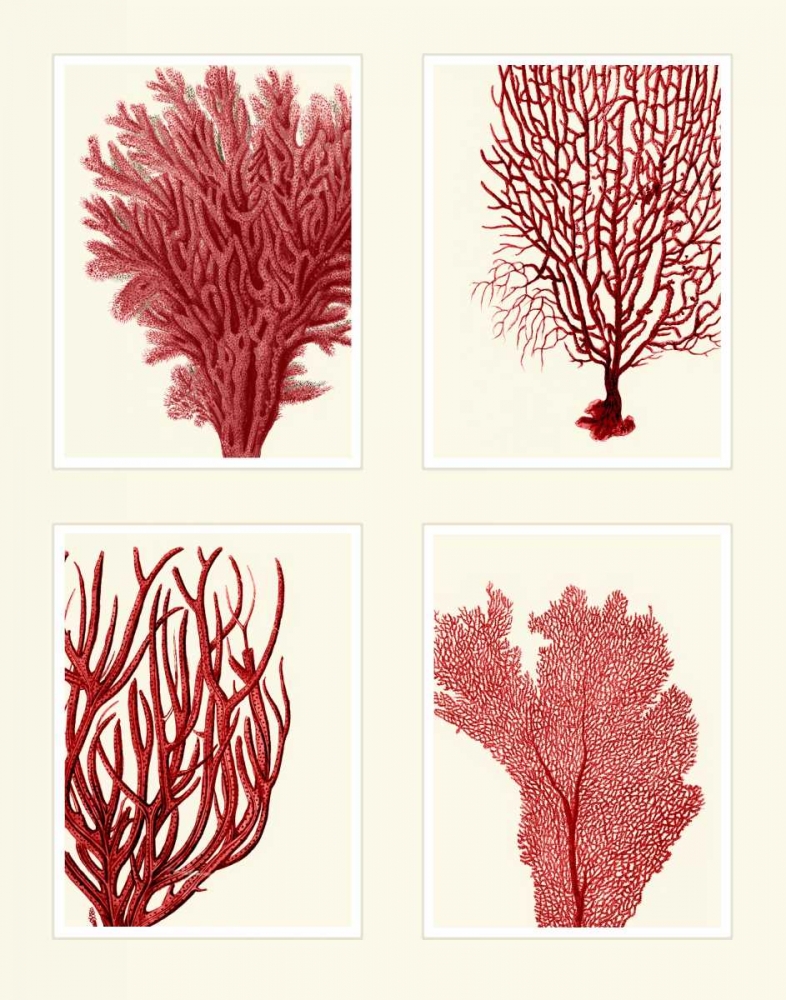 Red Coral Print on 4 Panels