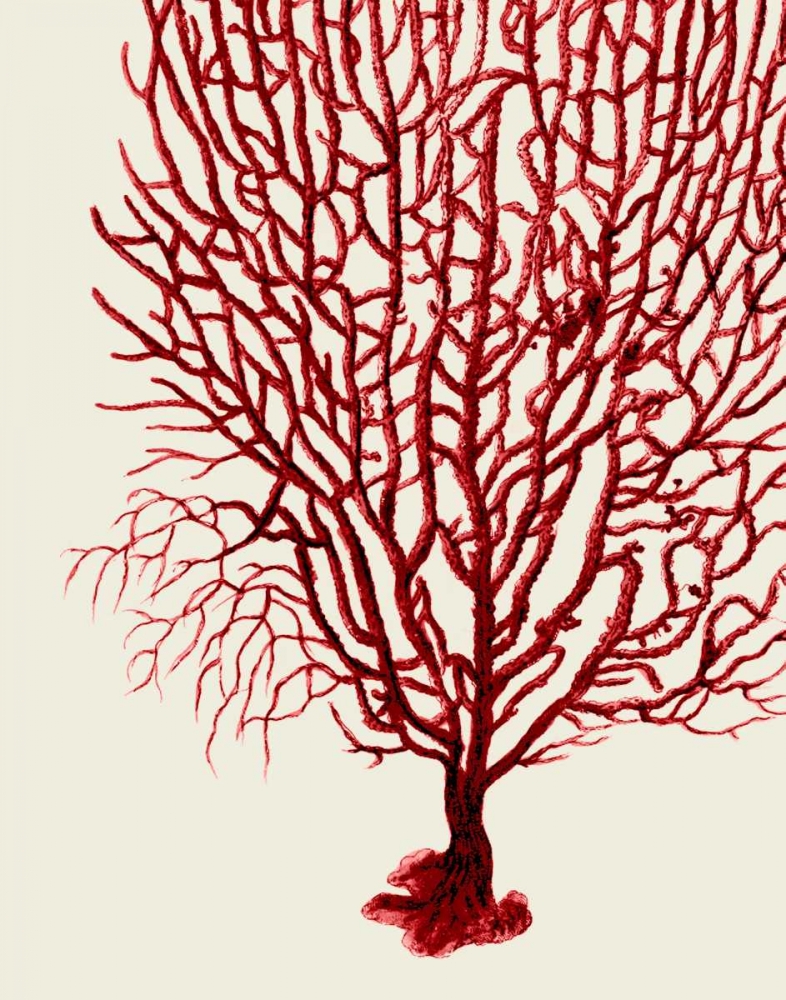 Red Corals 2 b