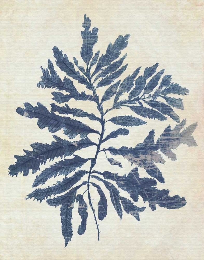 Indigo Blue Seaweed 2 b