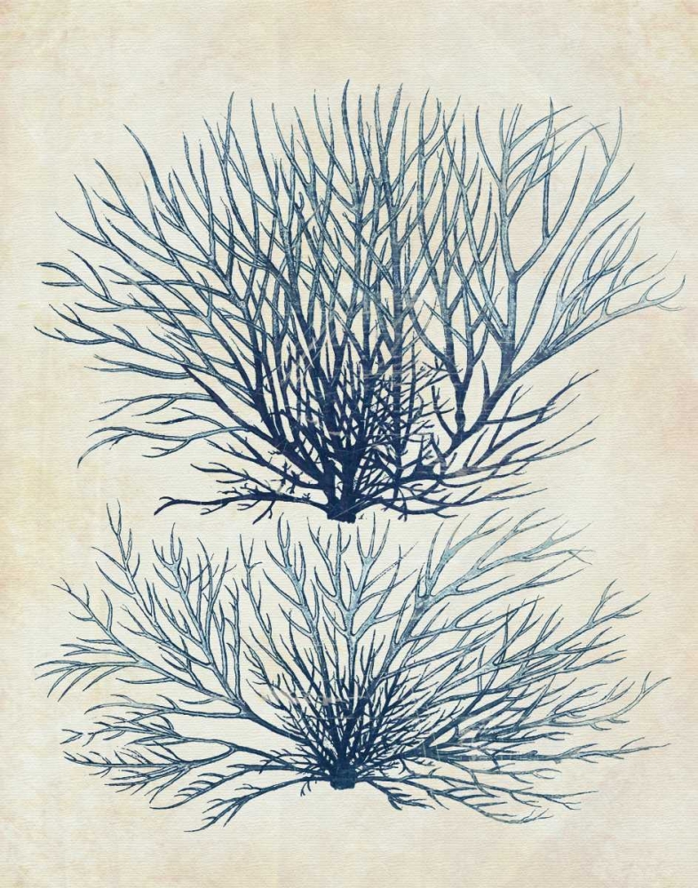 Indigo Blue Seaweed 1 a
