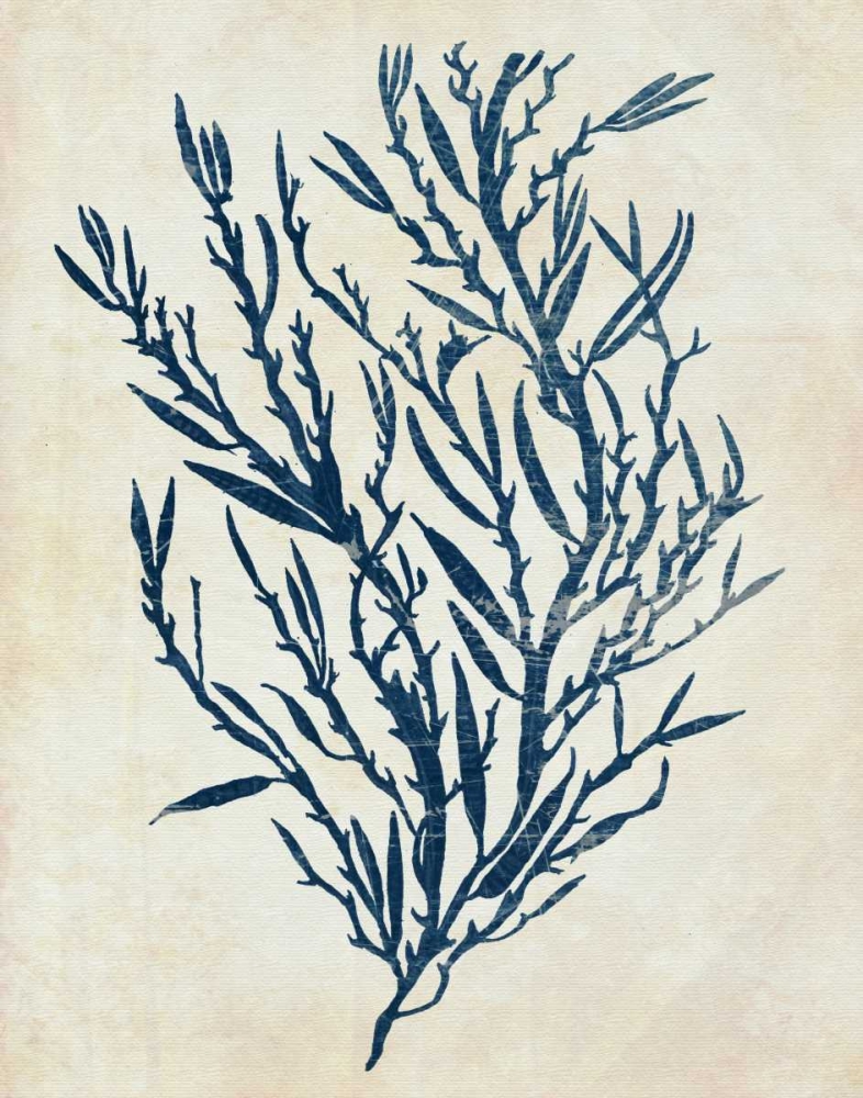 Indigo Blue Seaweed 3 b