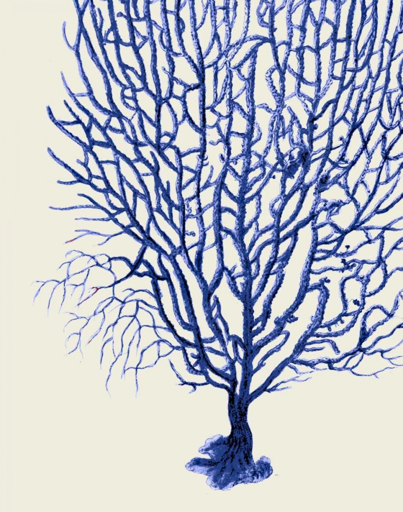 Blue Corals 2 b