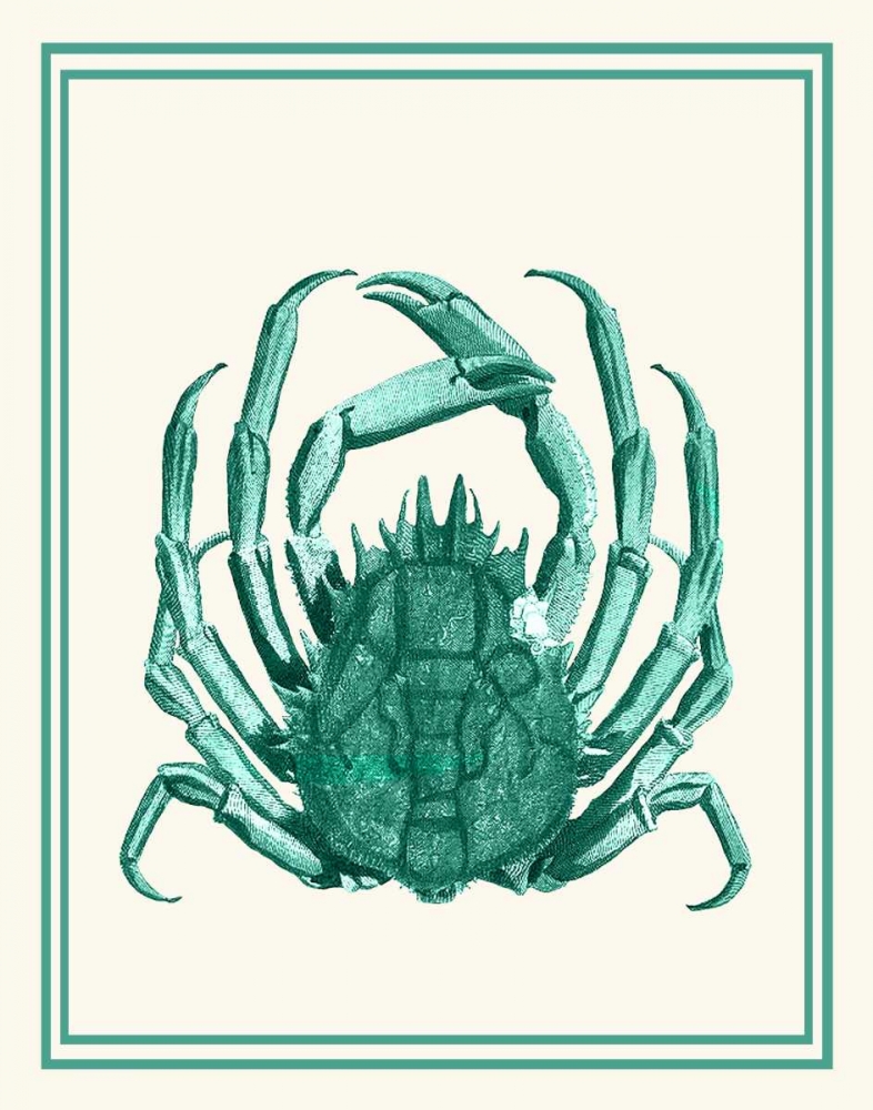 Mixed Nautical Green on Cream b