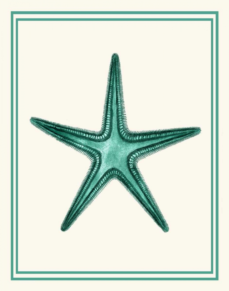 Mixed Nautical Green on Cream f