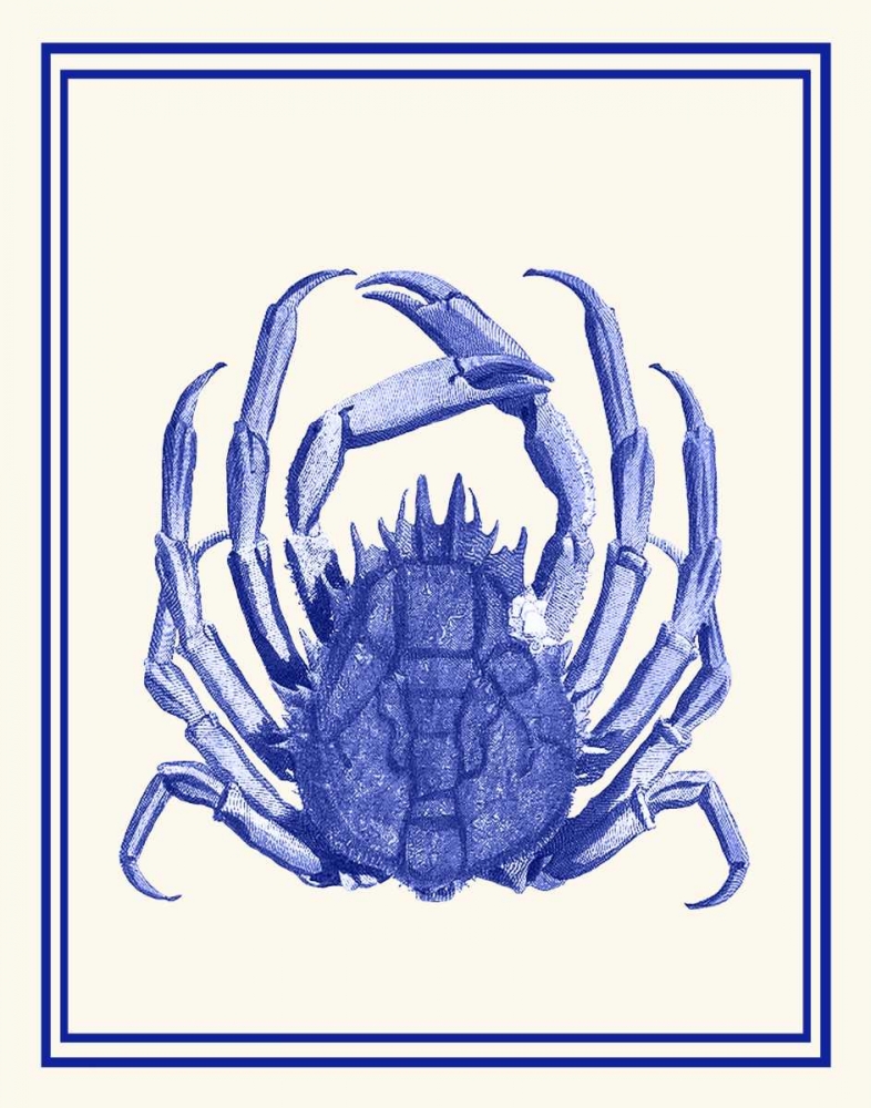 Mixed Nautical Blue on Cream b