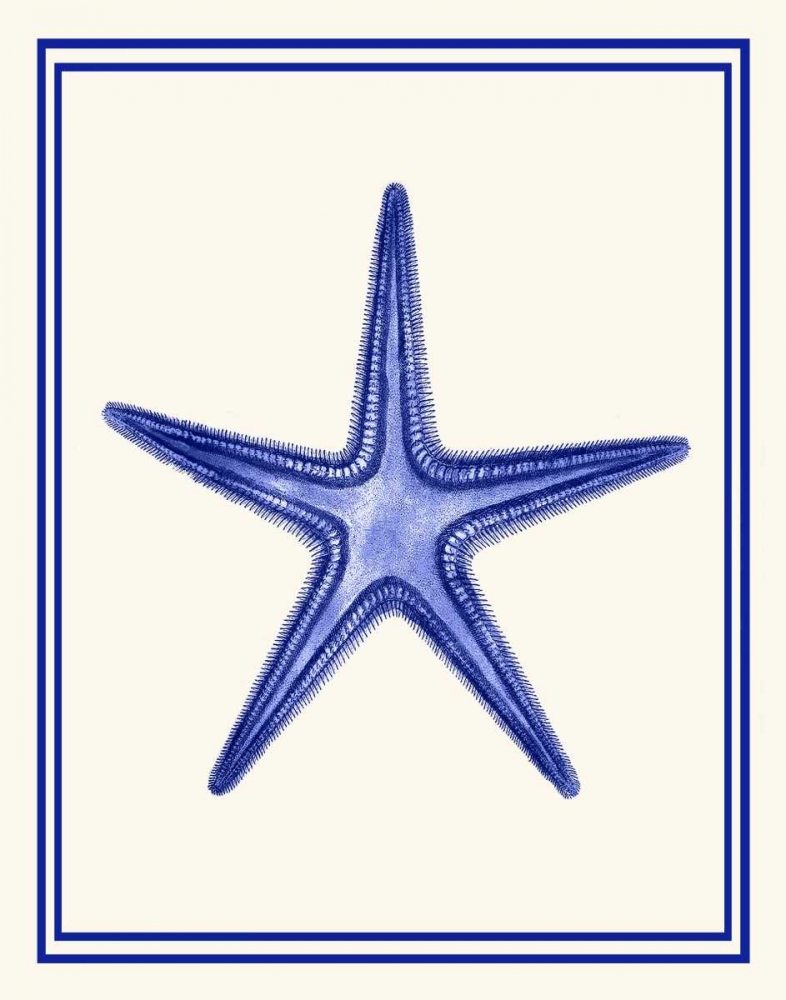 Mixed Nautical Blue on Cream f