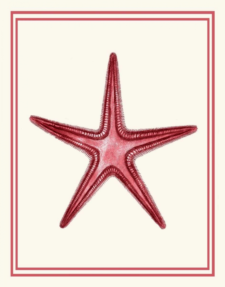 Mixed Nautical Coral on Cream a