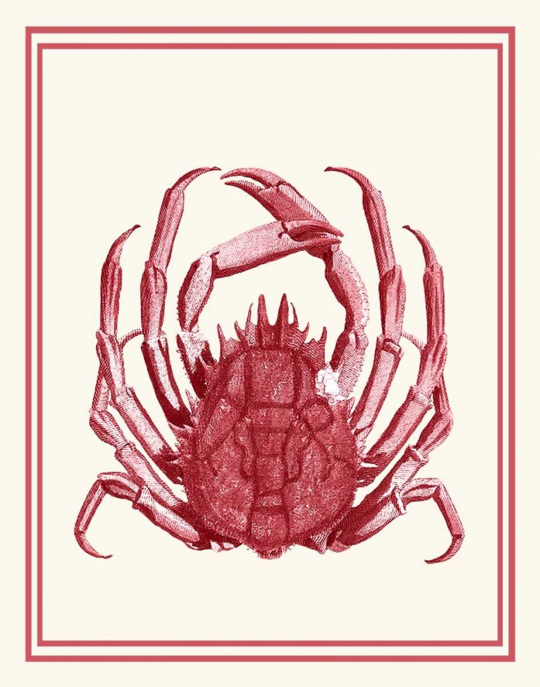 Mixed Nautical Coral on Cream f