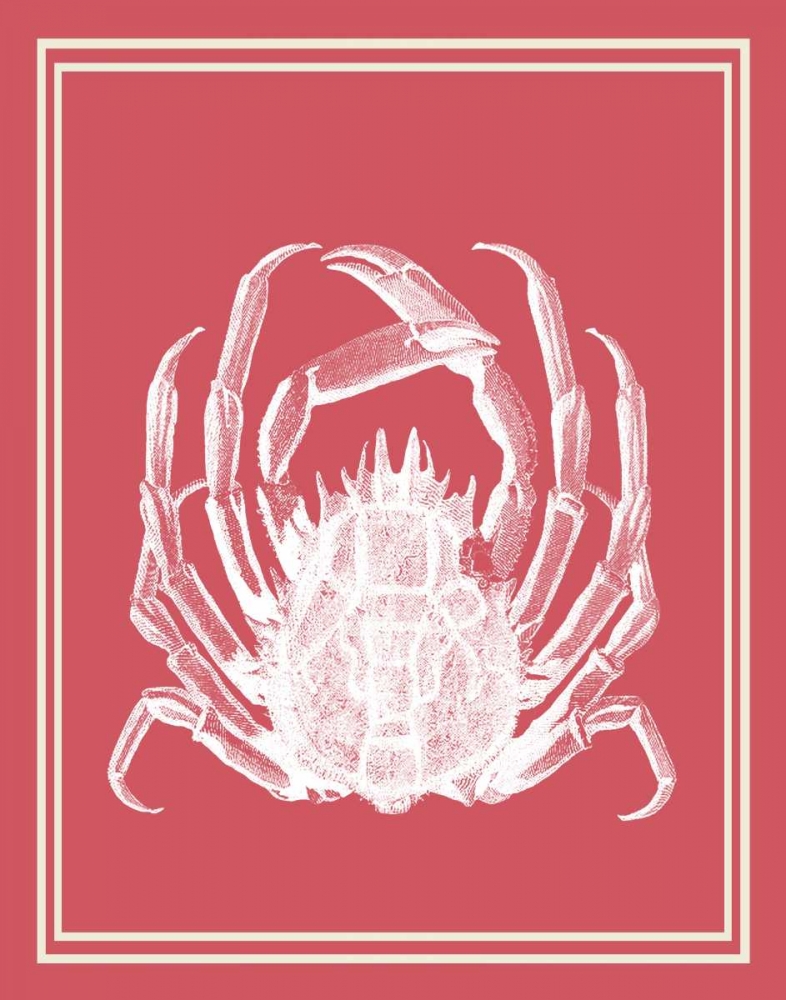 Mixed Nautical White on Coral a