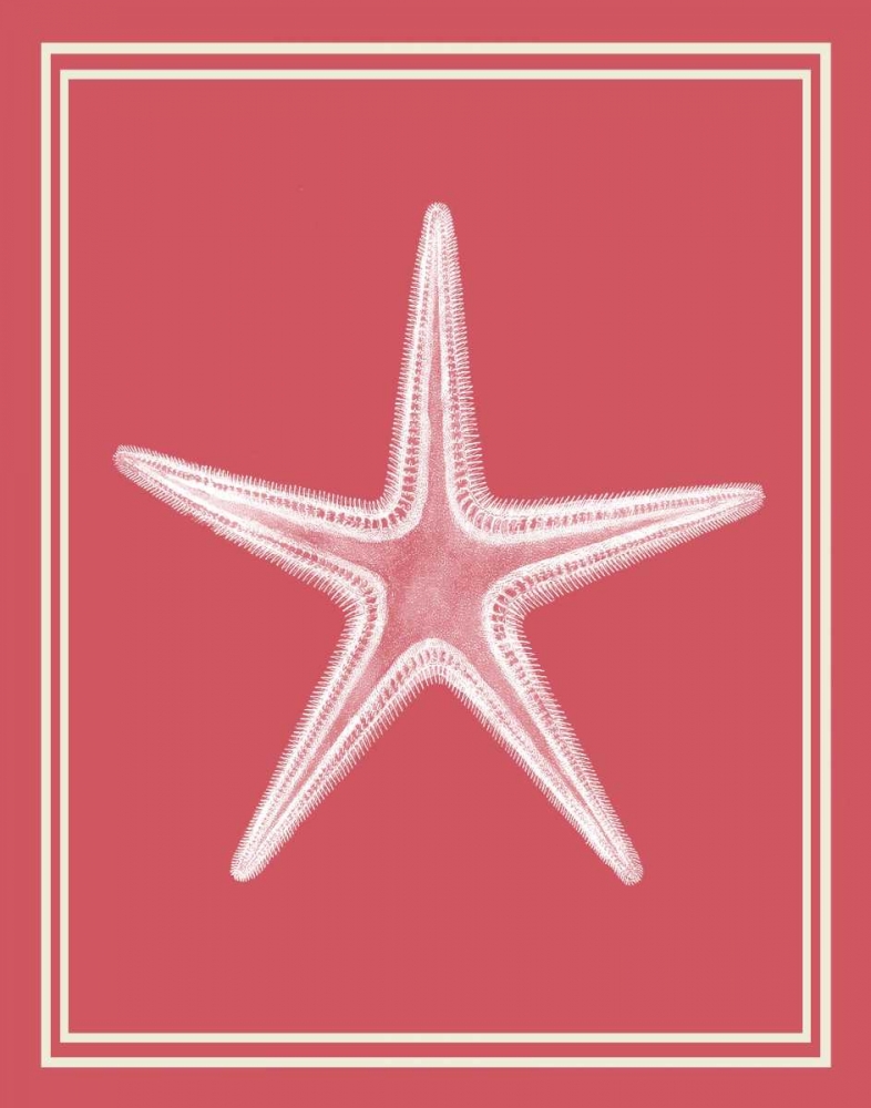Mixed Nautical White on Coral f