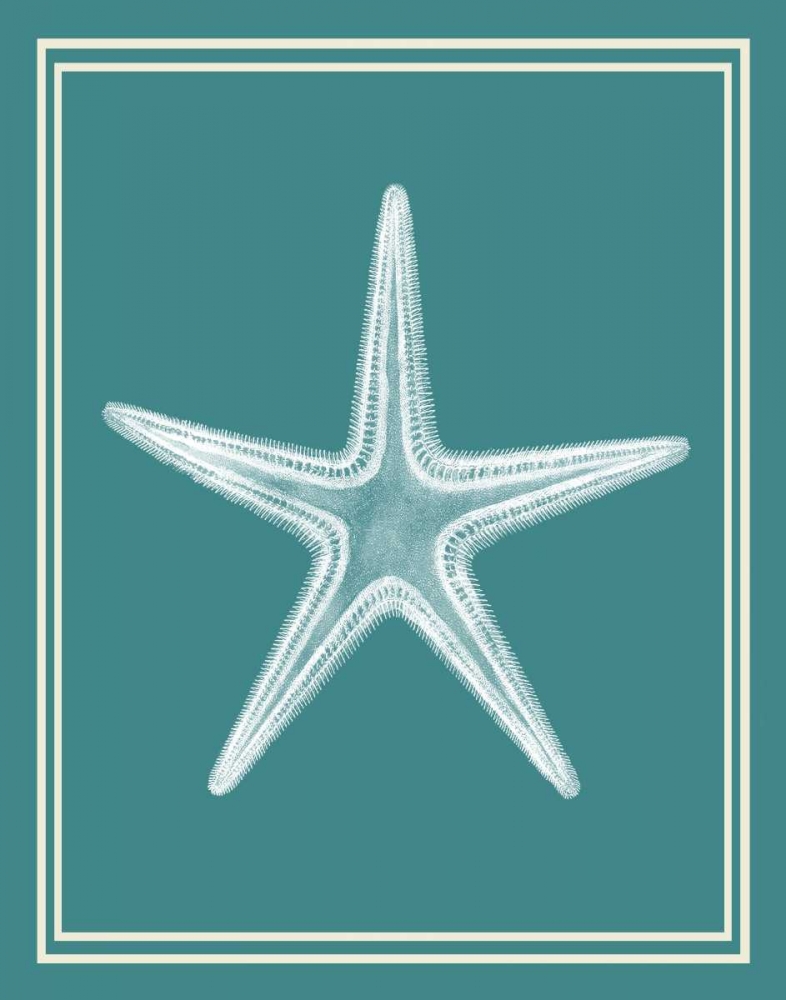 Mixed Nautical White on Teal a