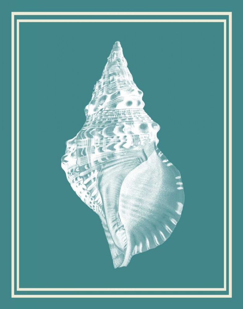 Mixed Nautical White on Teal c