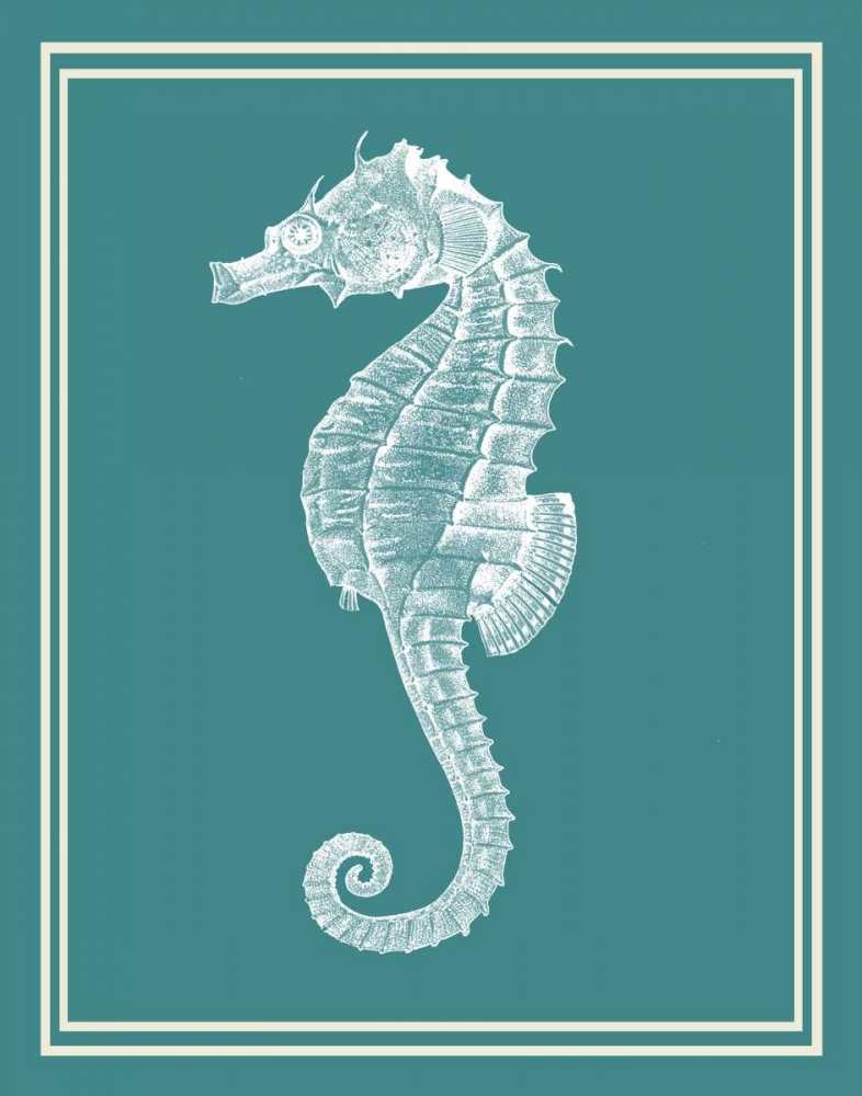 Mixed Nautical White on Teal d