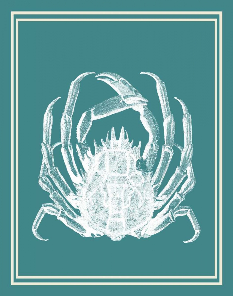 Mixed Nautical White on Teal f