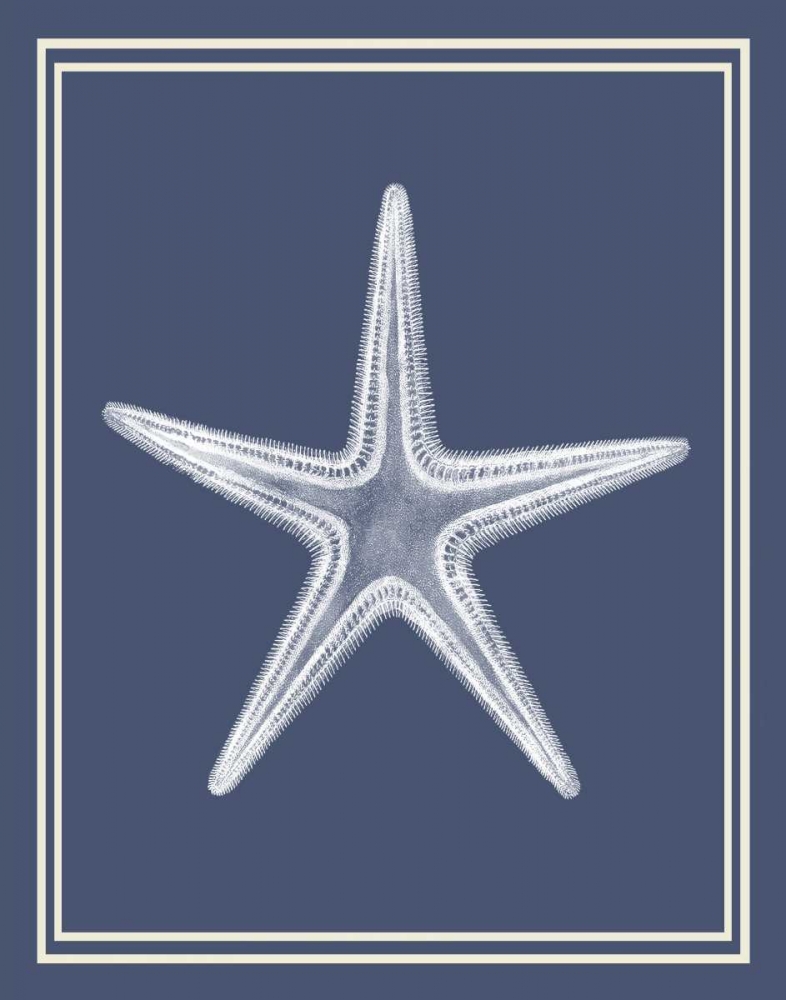 Mixed Nautical White on Indigo Blue a