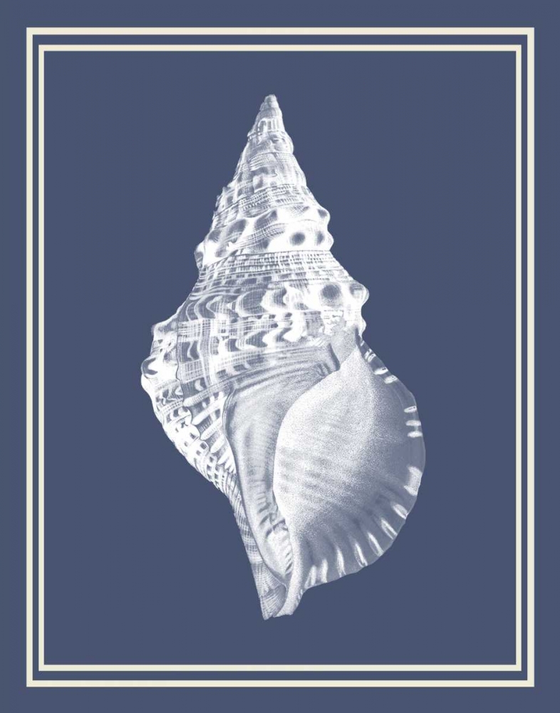 Mixed Nautical White on Indigo Blue c