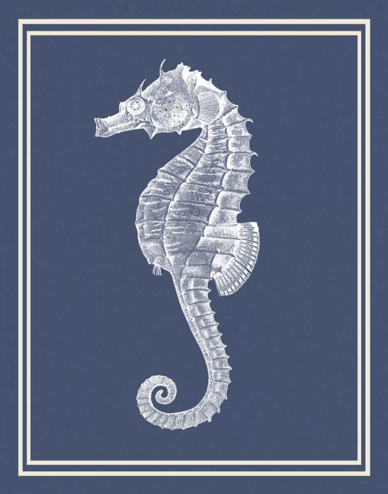 Mixed Nautical White on Indigo Blue d