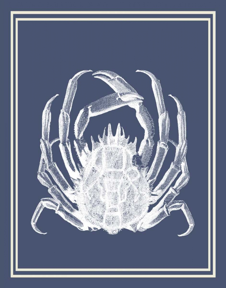Mixed Nautical White on Indigo Blue f