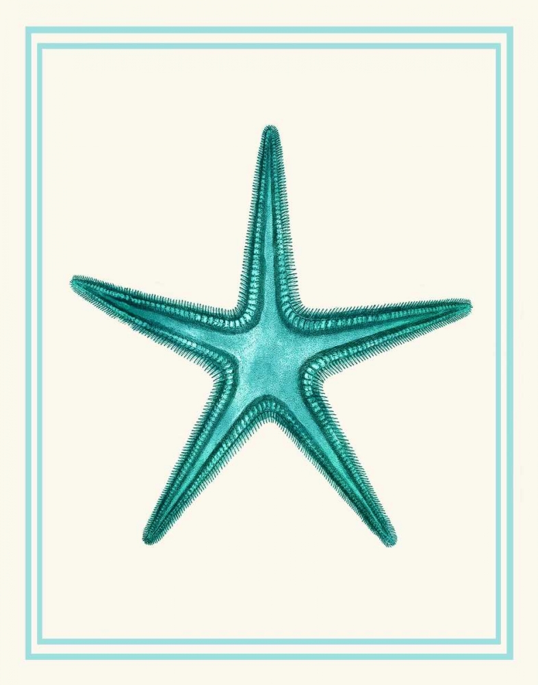 Mixed Nautical Turquoise on Cream f