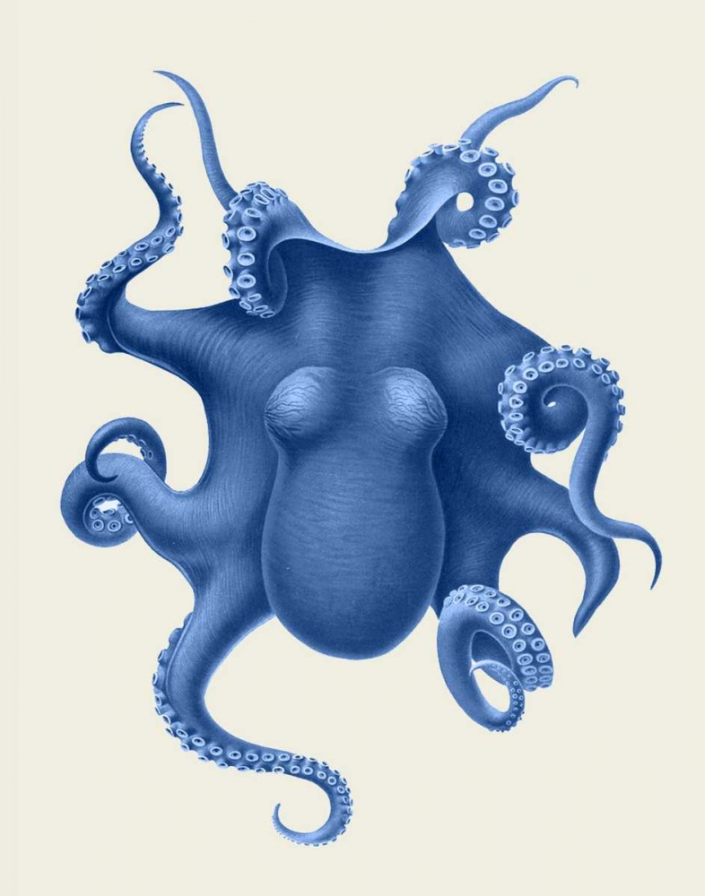 Blue Octopus on Cream d