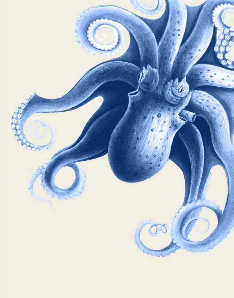 Blue Octopus on Cream f