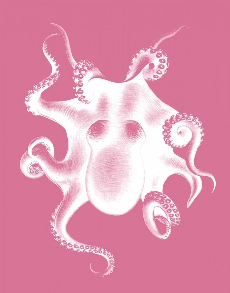 Octopus White on Pink c