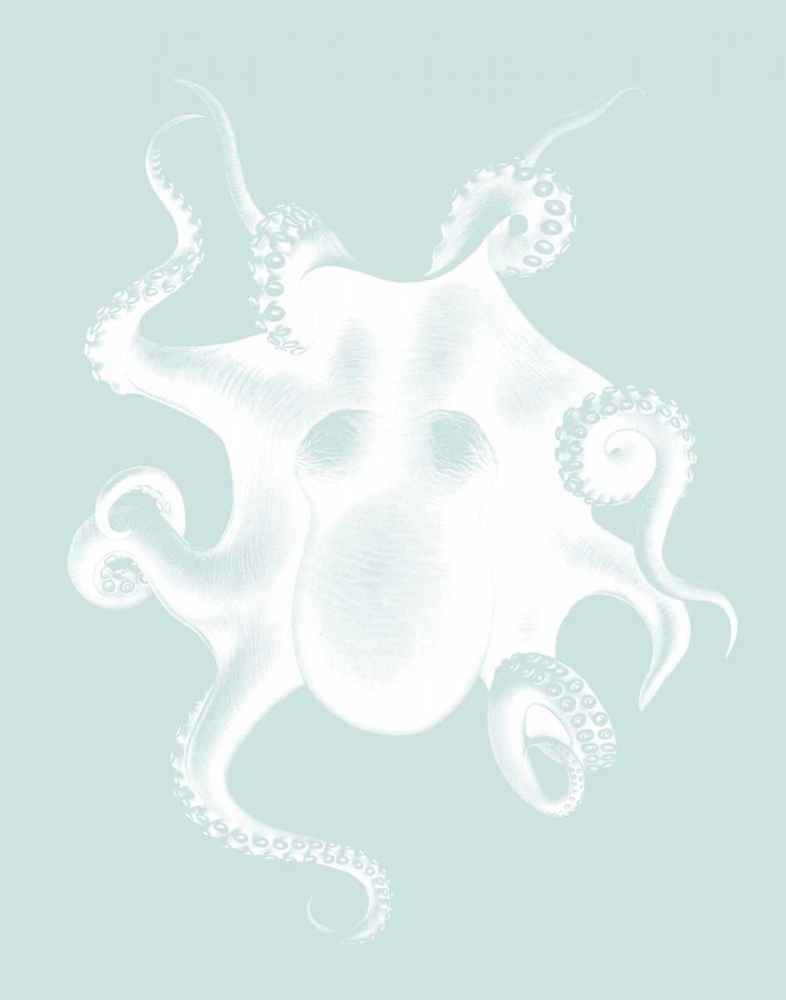White Octopus on Seafoam d
