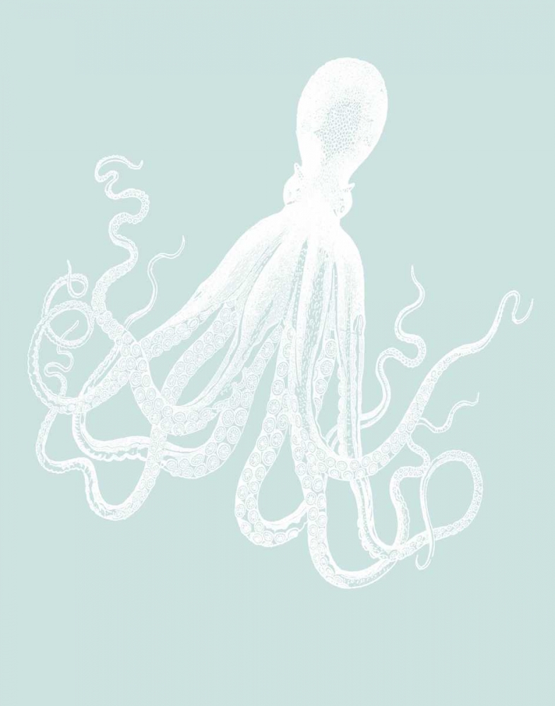 White Octopus on Seafoam e