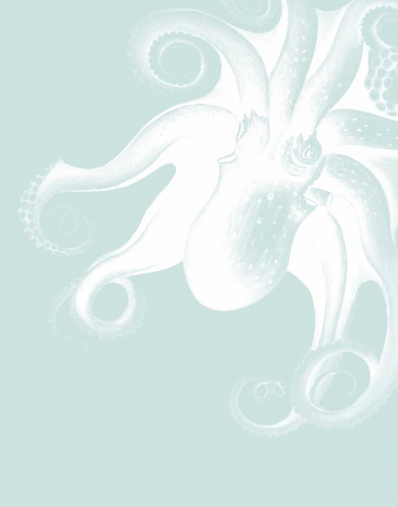 White Octopus on Seafoam f