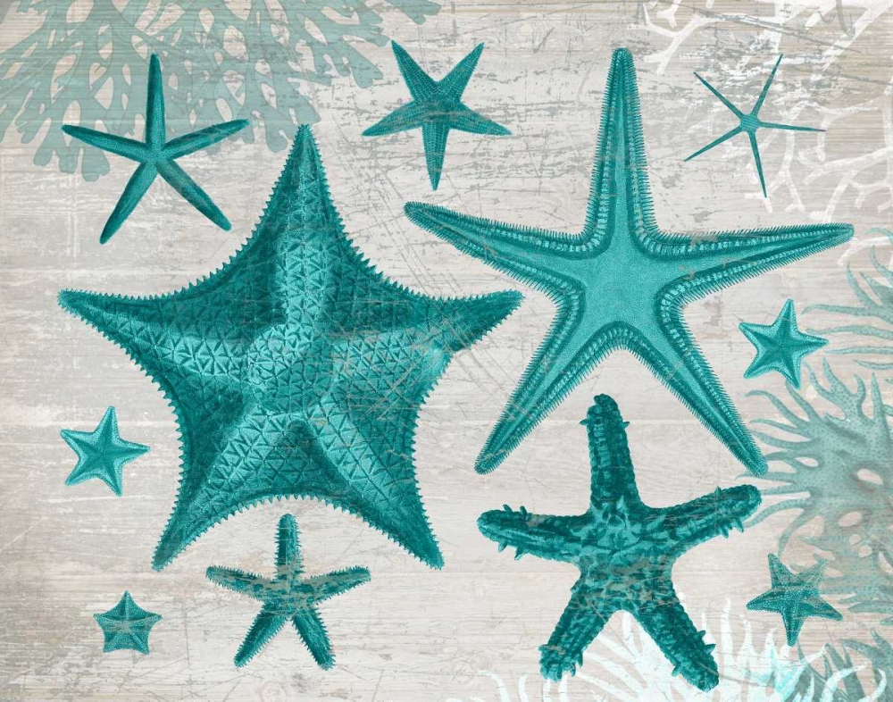 Green Starfish Collection
