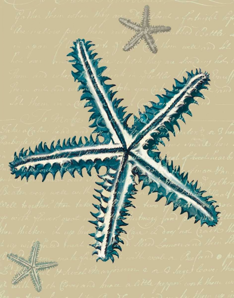 Blue Starfish on Taupe a