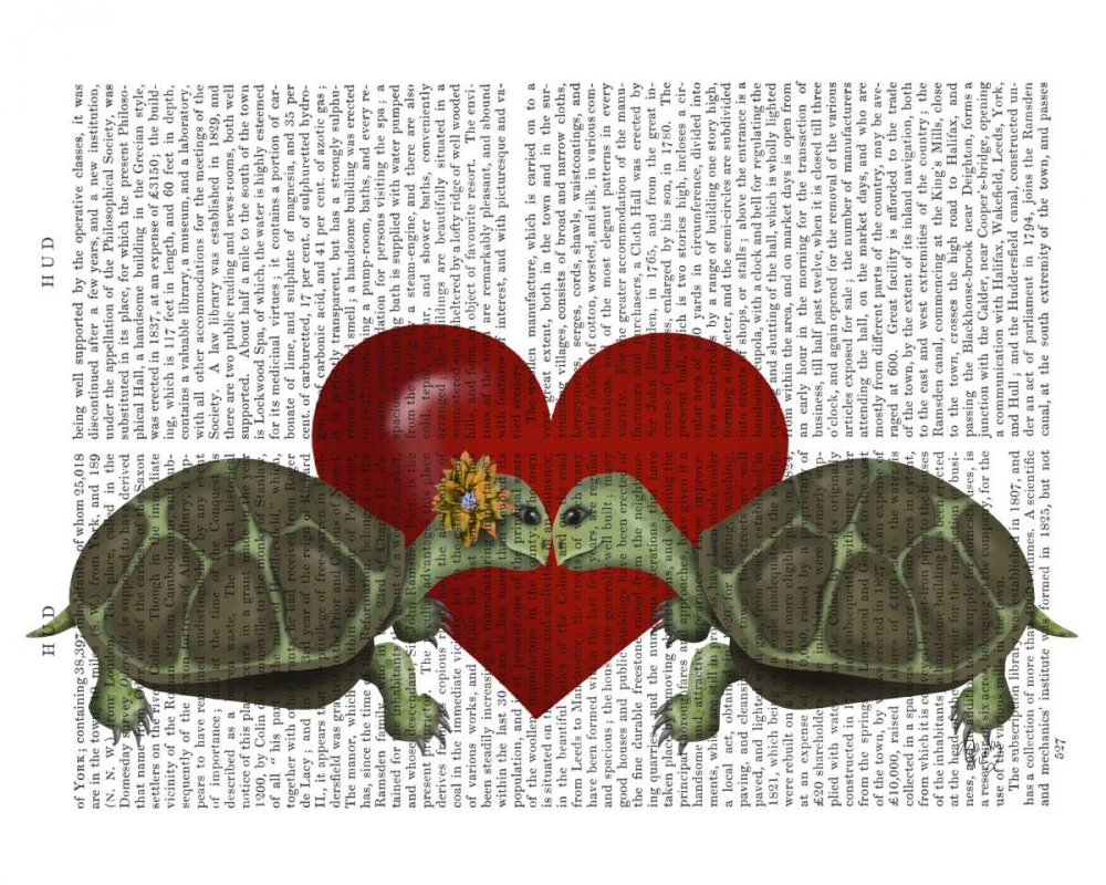 Turtle Kiss