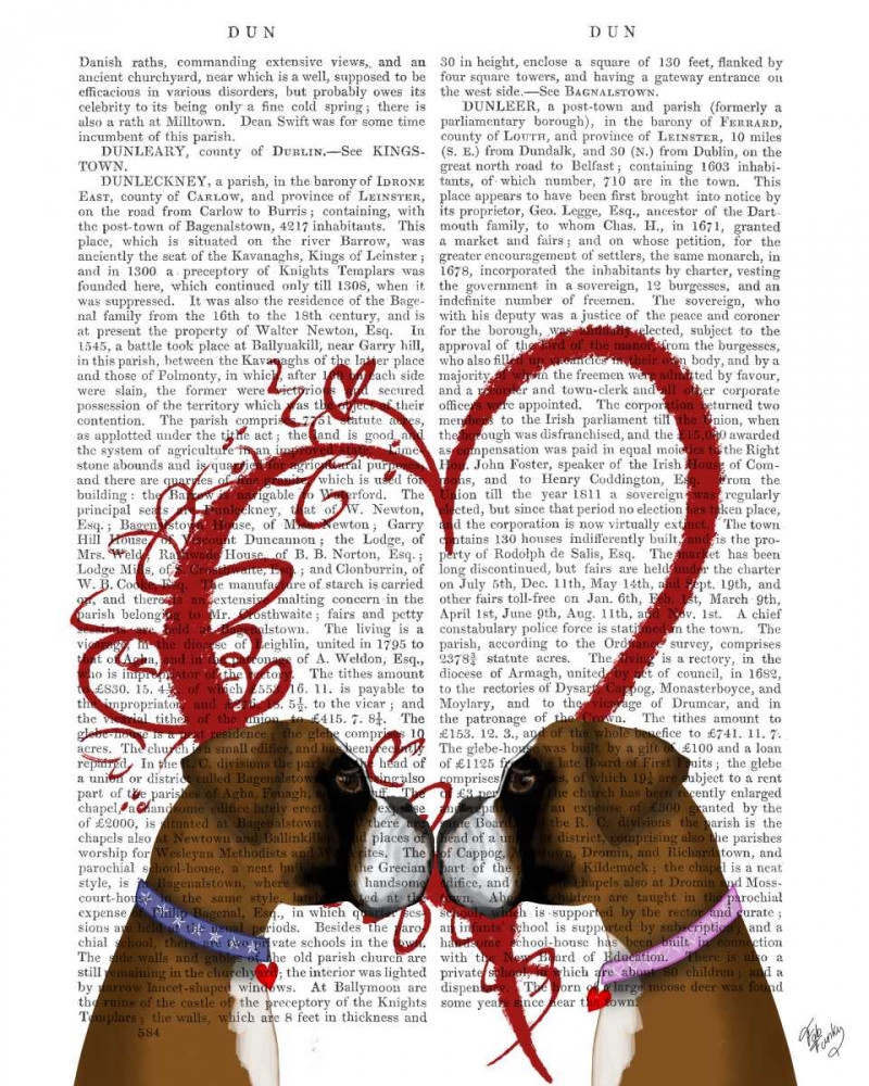 Boxer Love