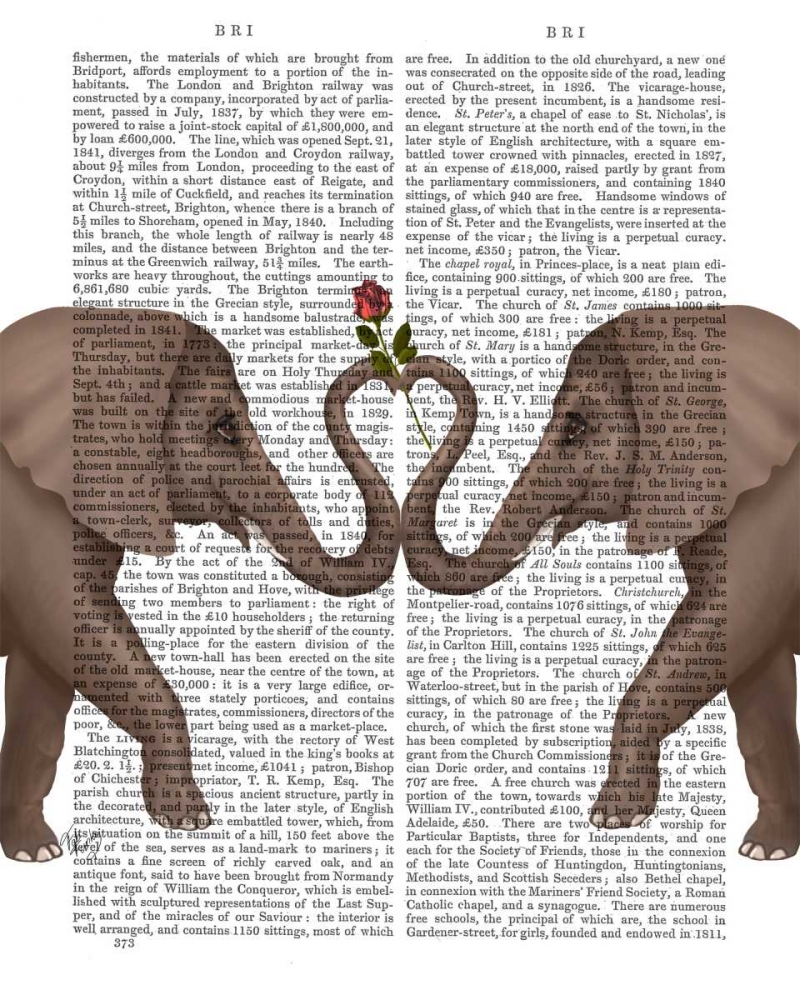 Elephants Heart and Rose