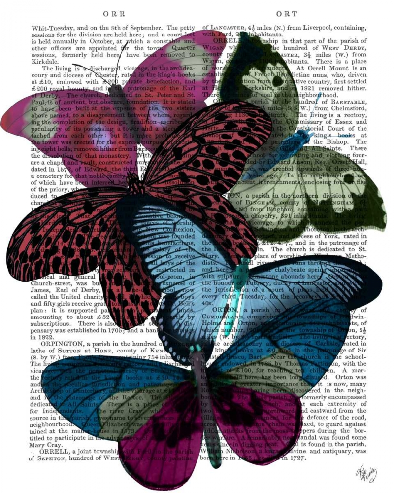 Big Bold Butterflies 1