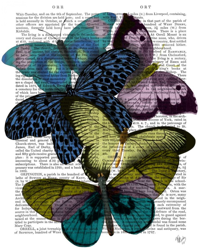 Big Bold Butterflies 2