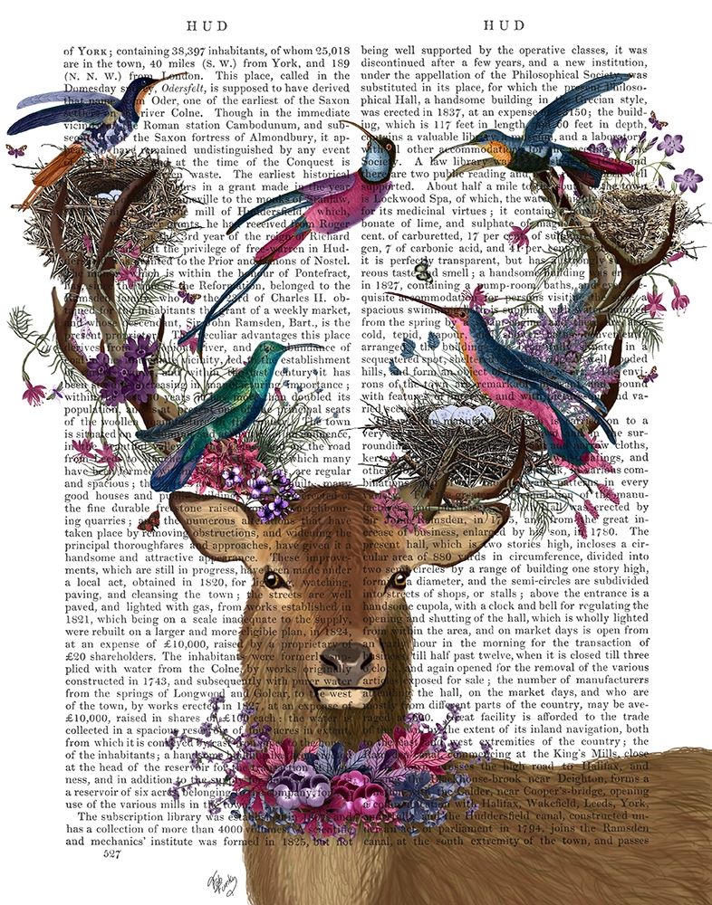 Deer Birdkeeper, Tropical Bird Nests